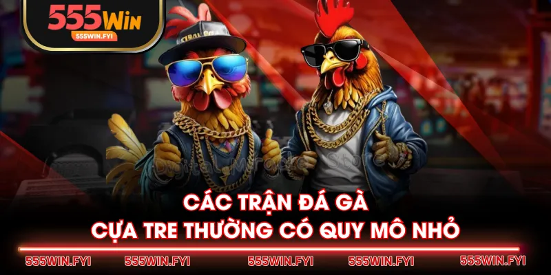 Các trận đá gà cựa tre thường có quy mô nhỏ